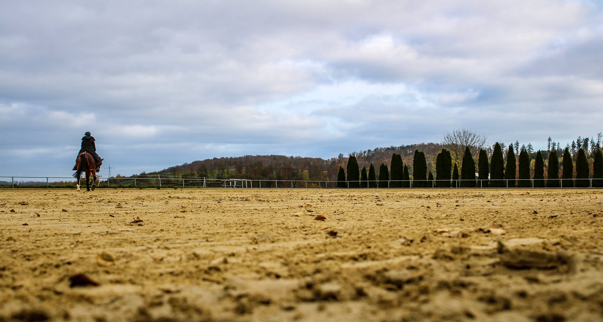 Die Mitgleidschaft bei der Reitgemeinschaft Kreiensen-Rittierode